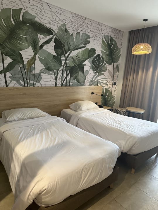 Zimmer Three Corners Sunny Beach Resort