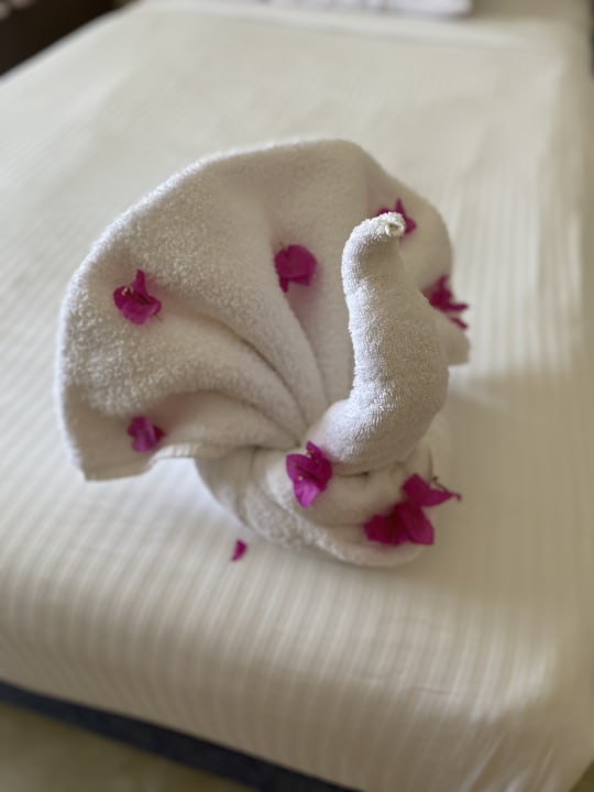 Zimmer Tropitel Sahl Hasheesh