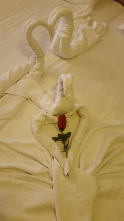 Cleaning  Sultan Sipahi Resort