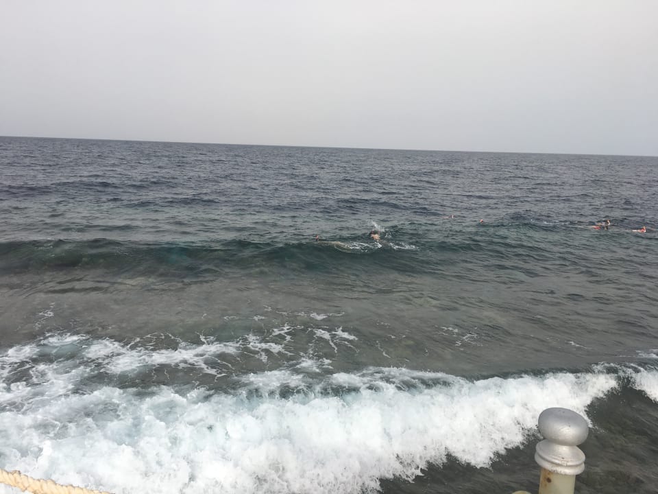 Strand Pickalbatros Royal Moderna Resort-Sharm El Sheikh