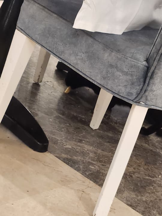 Gastro Granada Luxury Belek