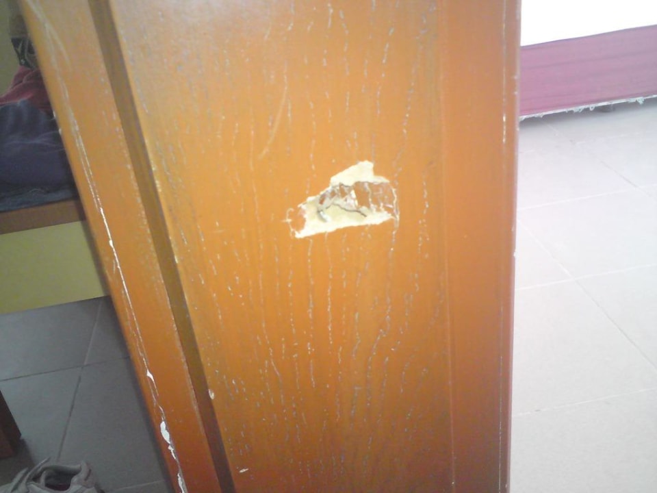 Sehr schön anzusehen Verletzungsgefahr für Kinder Clover Magic Park Beach Alanya