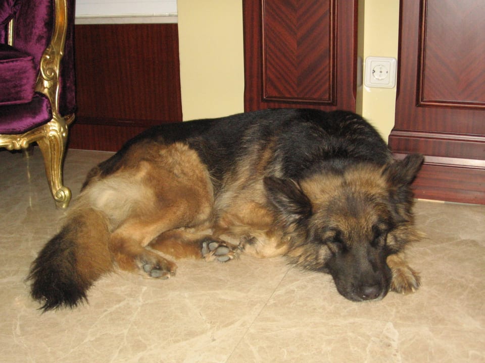 Baddy  Antique Roman Palace Museum Hotel - Adults Only 16+