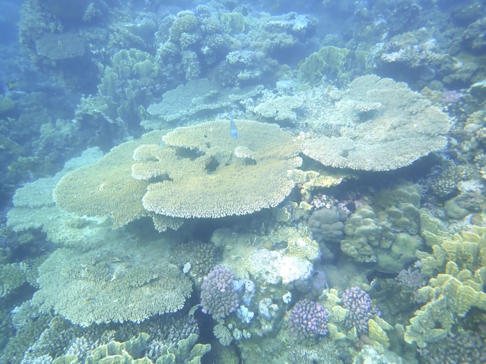 Strand Shams Alam Beach Resort