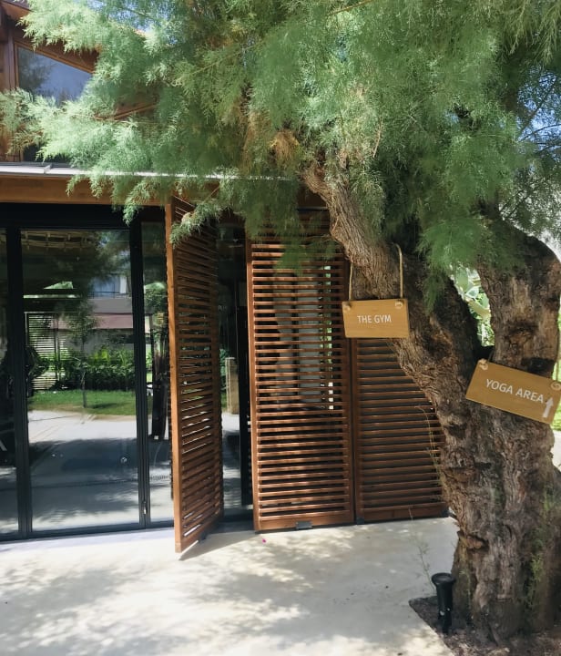 Sonstiges Phãea Cretan Malia