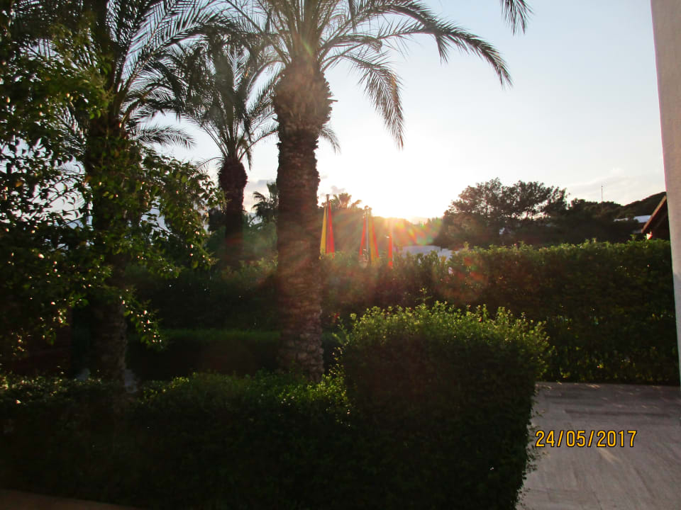 Blick aus dem Zimmer Emelda Sun Club