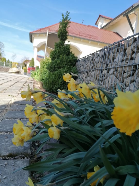 Gartenanlage Landhotel Zur Jurahöhe / Juraschlössl