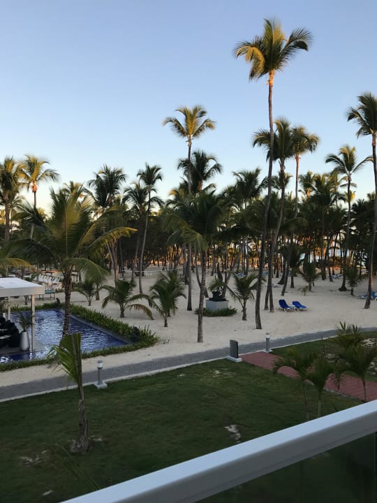 Blick von meinem Zimmer Hotel Riu Palace Macao - Adults only