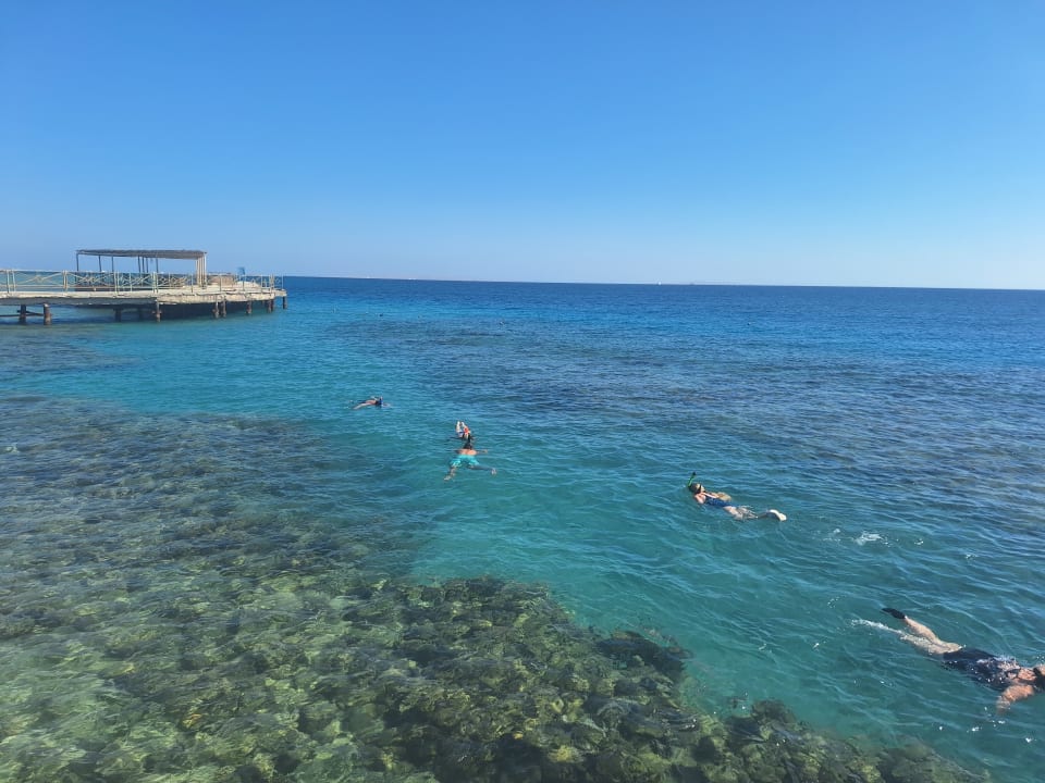 Strand Hotel Titanic Palace