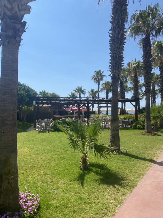 Gartenanlage Saturn Palace Resort Hotel