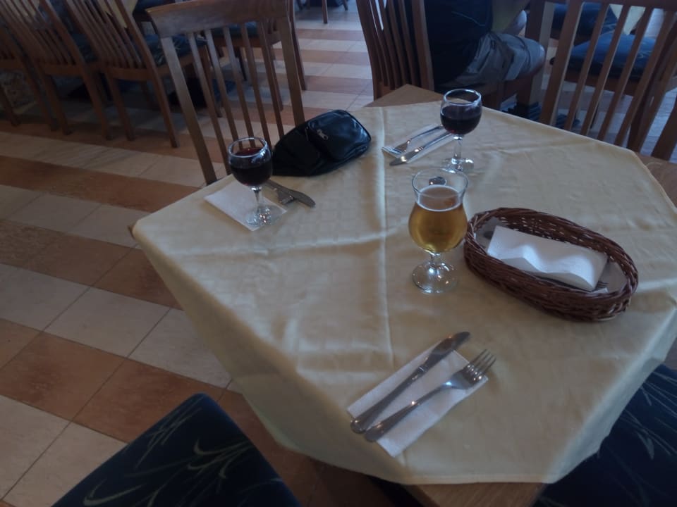 Gastro Hotel Slavuna