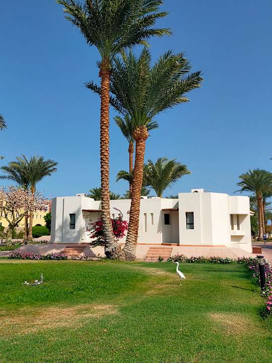 Gartenanlage Pharaoh Azur Resort