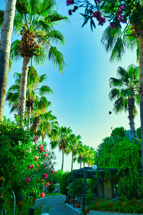 Gartenanlage VONRESORT Golden Beach