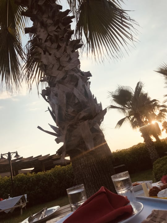 Gastro Royal Atlantis Beach Hotel
