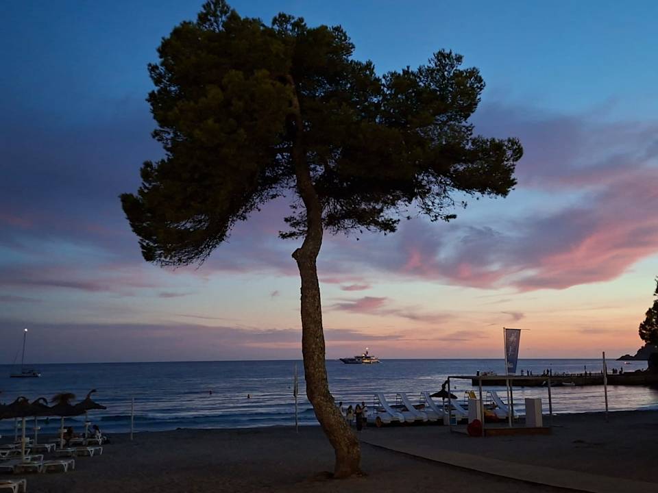 Gartenanlage Hotel Vibra Beverly Playa