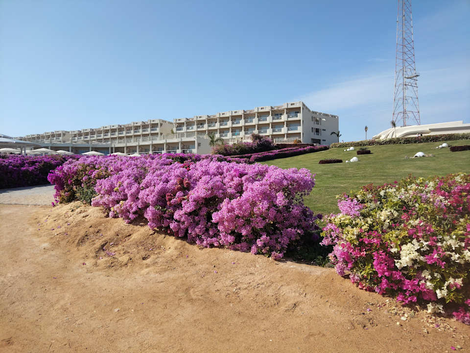 Gartenanlage Sirena Beach Resort & Spa