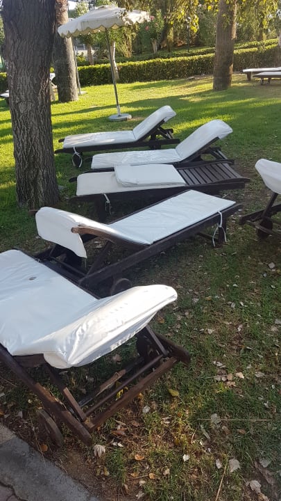 Pool Hotel Calypso Beach