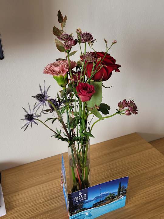 Sonstiges Beatus Wellness- & Spa-Hotel