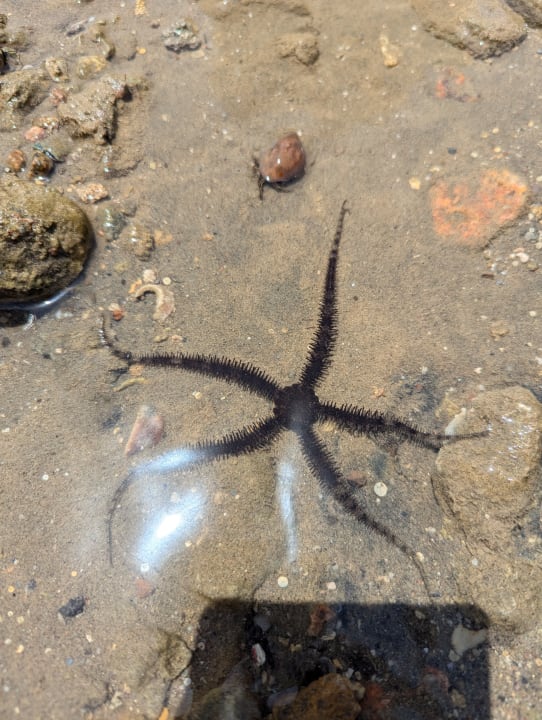 Sonstiges Jaz Makadi Oasis Resort