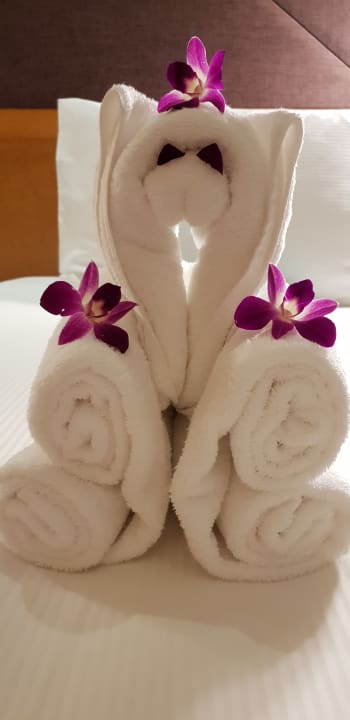 Zimmer Al Raha Beach Resort & Spa