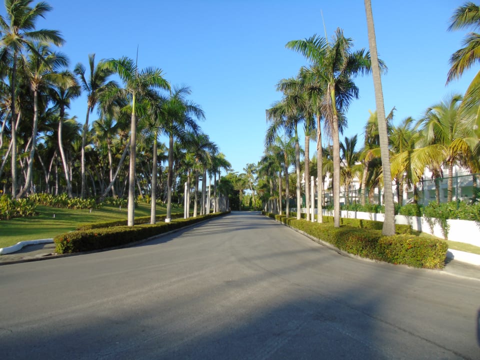 Gartenanlage Hotel Riu Palace Macao - Adults only