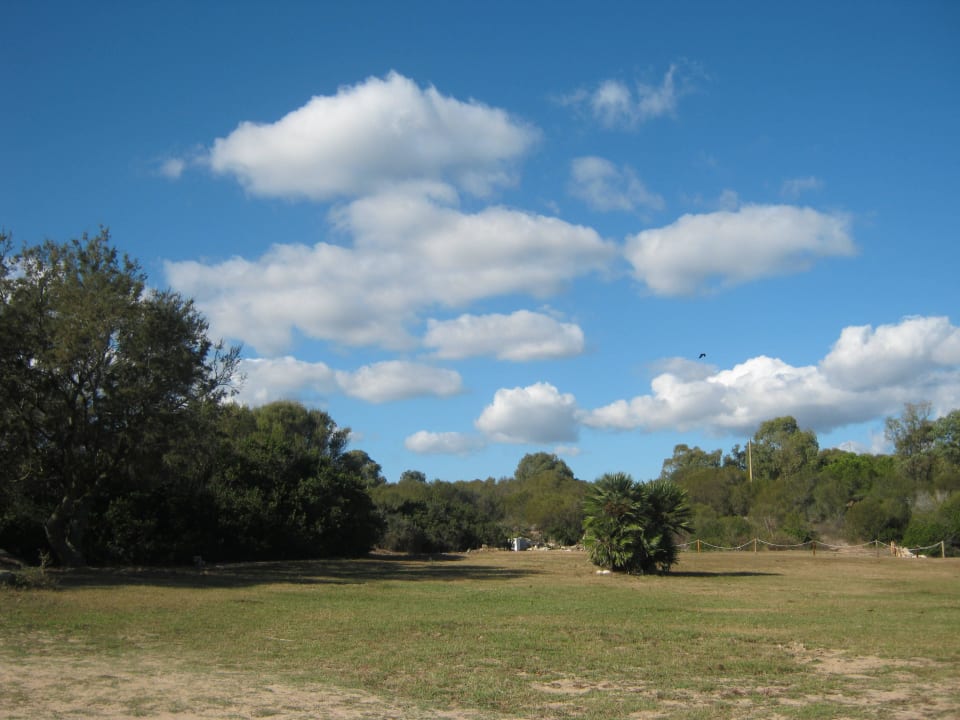 Strand mit Liegewiese Residence Blue Corner Porto Pollo