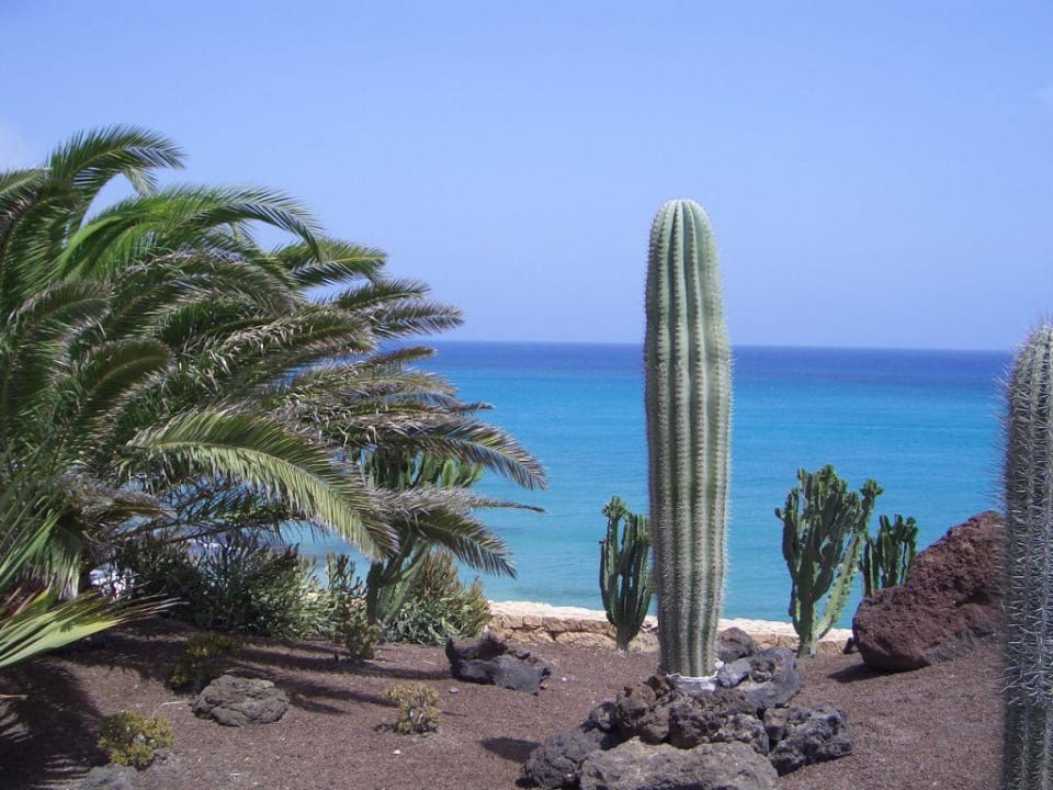 Ausblick vom Pool zum Meer R2 Pajara Beach
