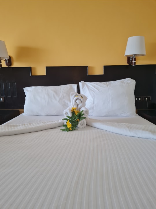 Zimmer Coral Sun Beach