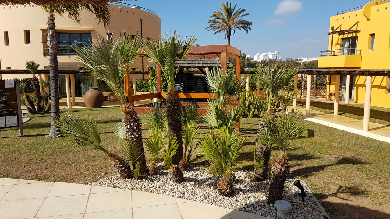 Gartenanlage NH Marina Portimão Resort