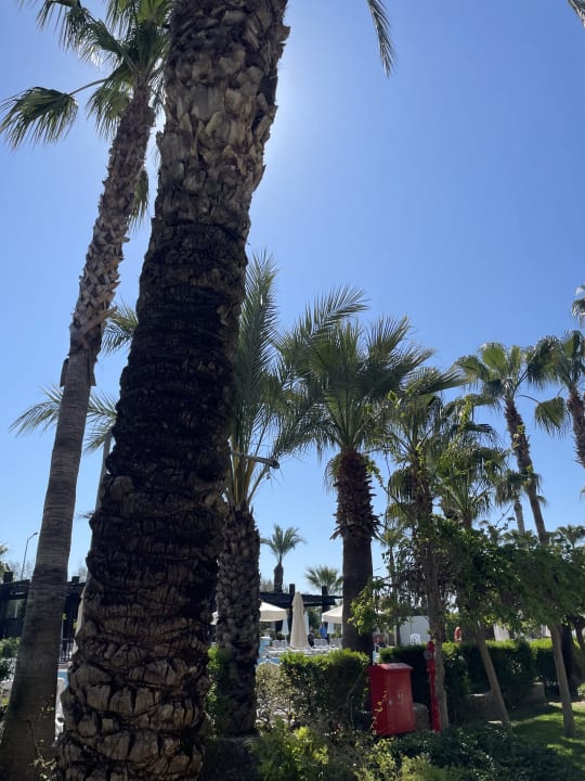 Gartenanlage Belek Beach Resort Hotel