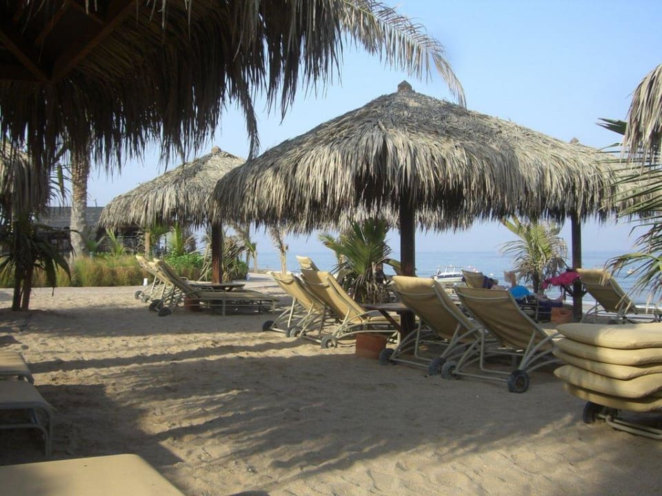 Strand mit Liegen Hotel Le Meridien Al Aqah Beach Resort