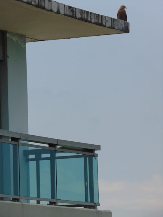 Ausblick Sofitel Malabo Sipopo Le Golf