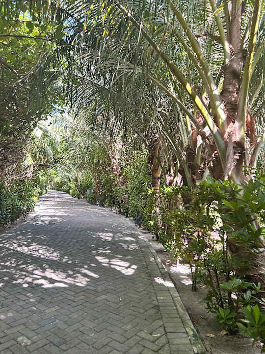 Gartenanlage Hotel Riu Atoll