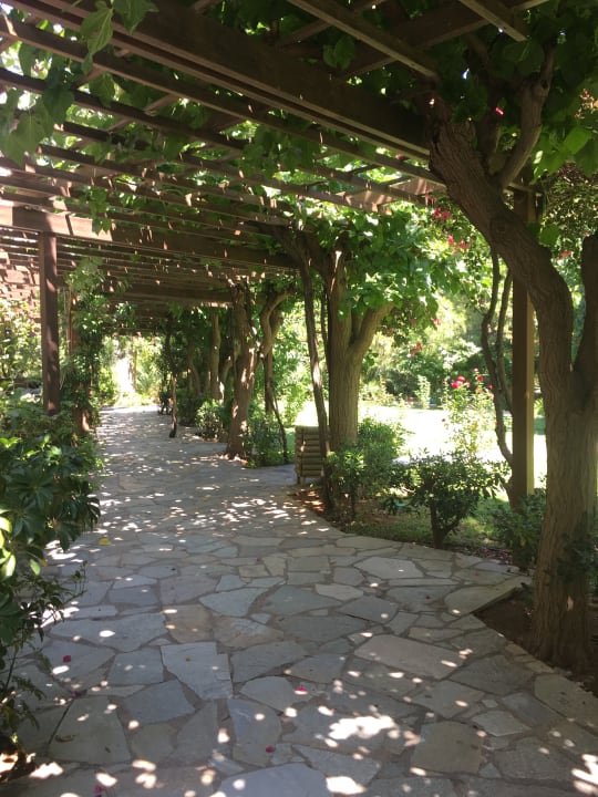 Gartenanlage Apollonia Beach Resort & Spa