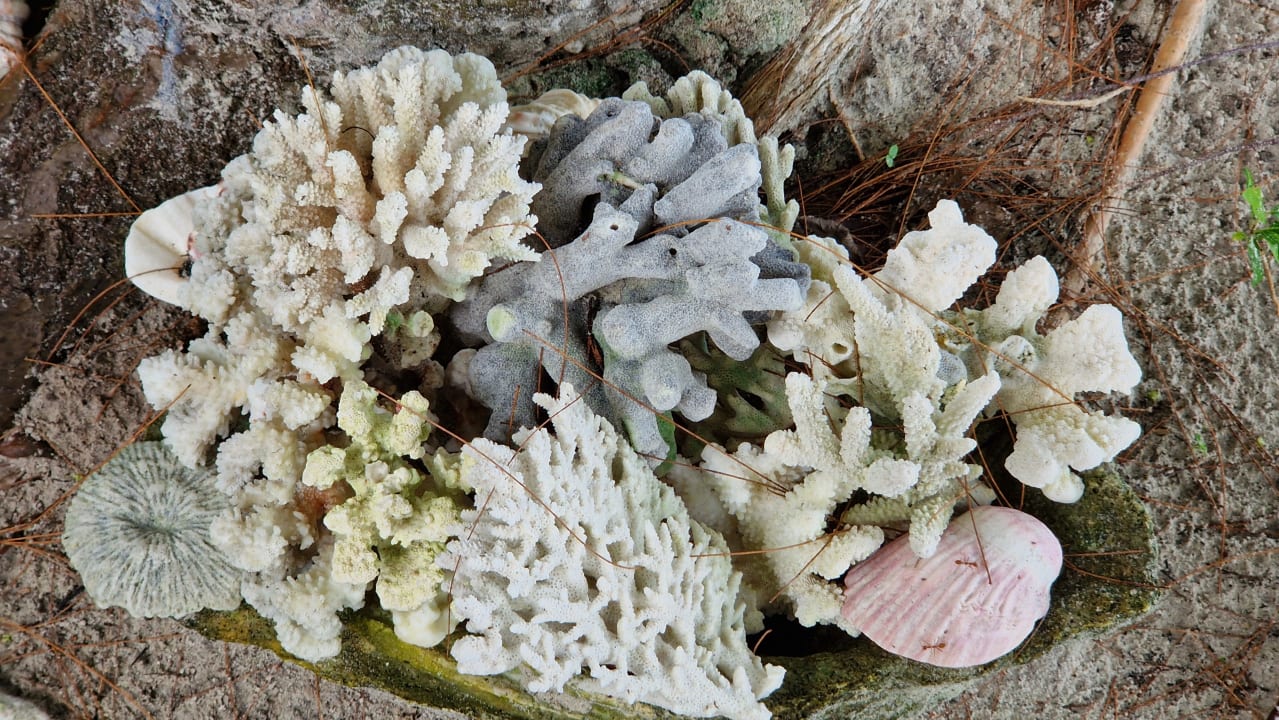 Sonstiges Agusta Eco Resort