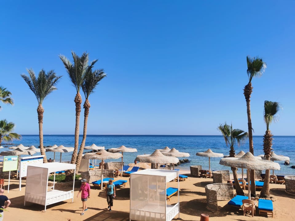 Strand Pickalbatros Citadel Resort