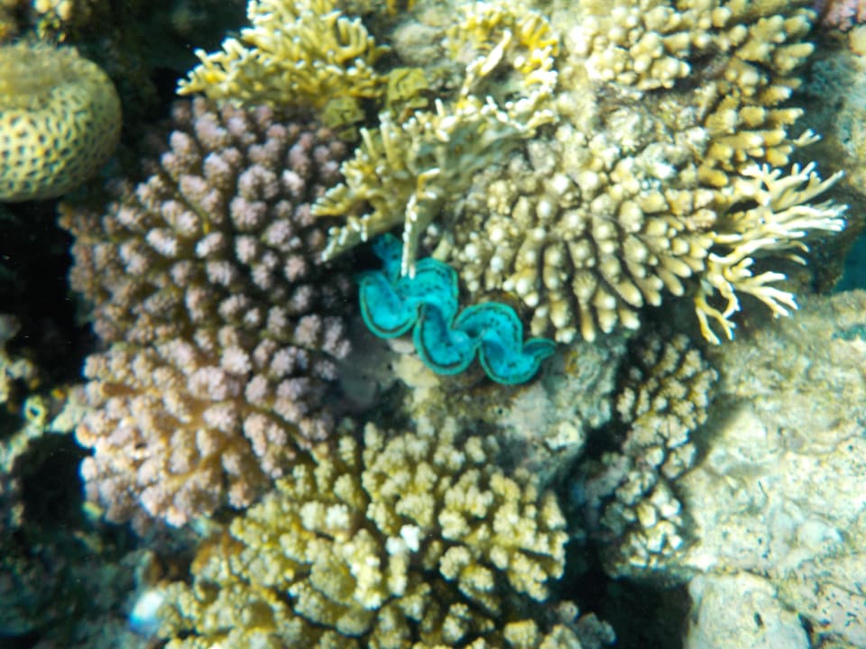 Sport & Freizeit Grand Makadi