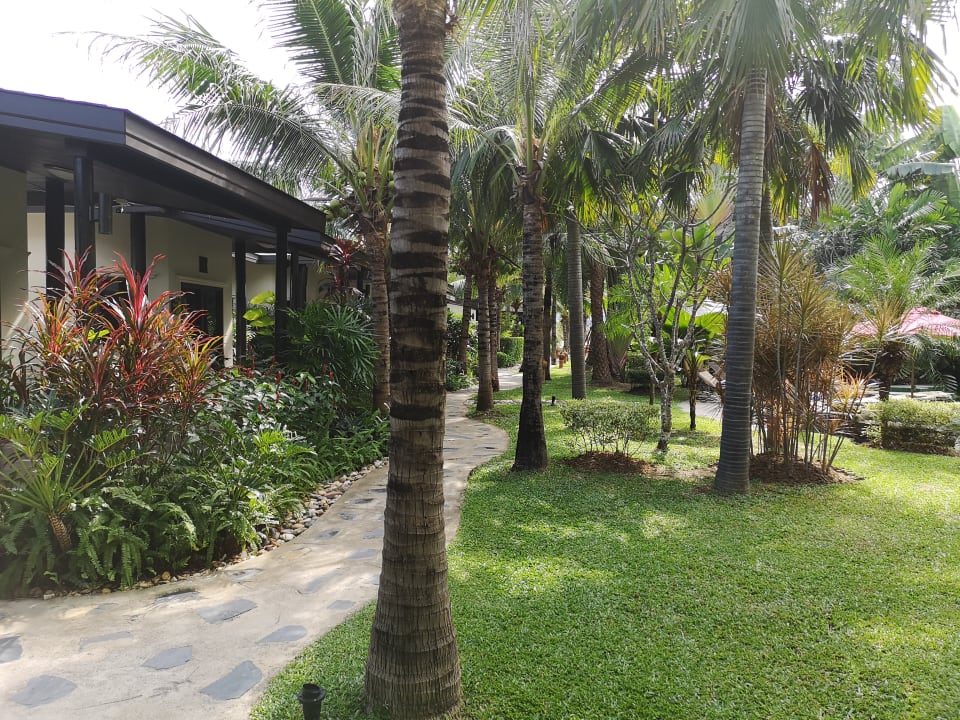 Gartenanlage Jurassic Mountain Resort & Fishing Park