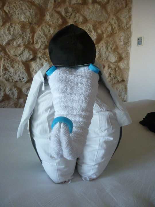 Schöne Basteleien Pickalbatros Citadel Resort