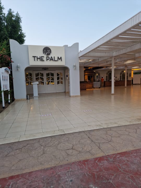 Sonstiges Desert Rose