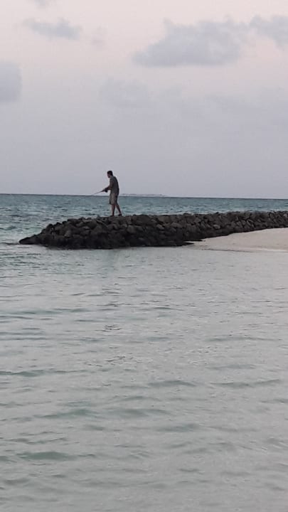 Strand Summer Island Maldives