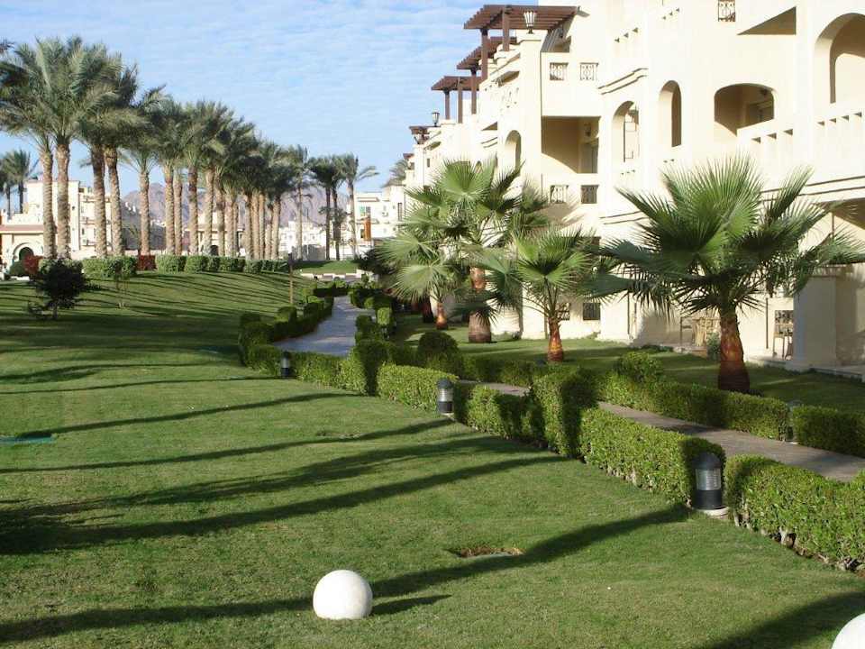 In der Anlage Rixos Sharm El Sheikh Adults Only 18 +