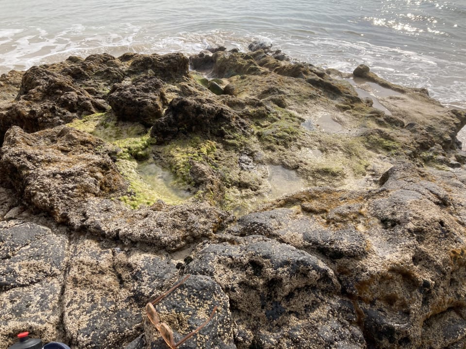 Strand TUI MAGIC LIFE Fuerteventura