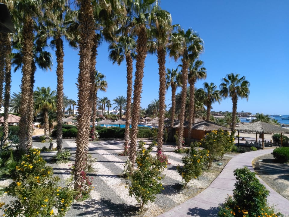 Gartenanlage Lotus Bay Beach Resort