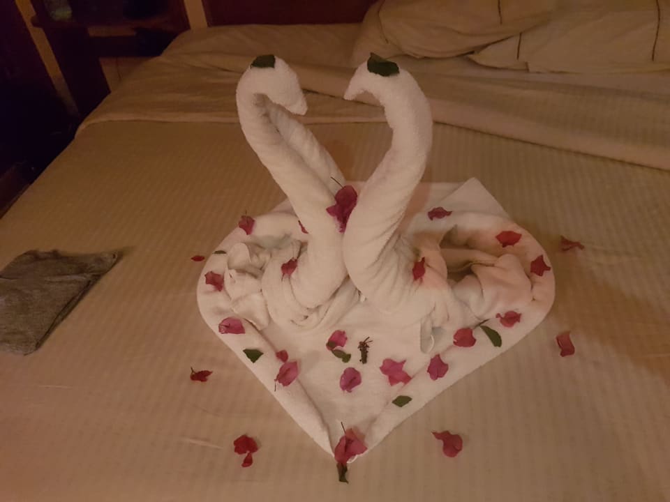 Zimmer Grand Waterworld Makadi & Family Star Makadi