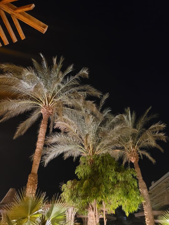 Gartenanlage Sindbad Club