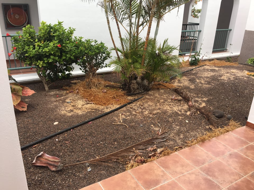 Gartenanlage AluaVillage Fuerteventura