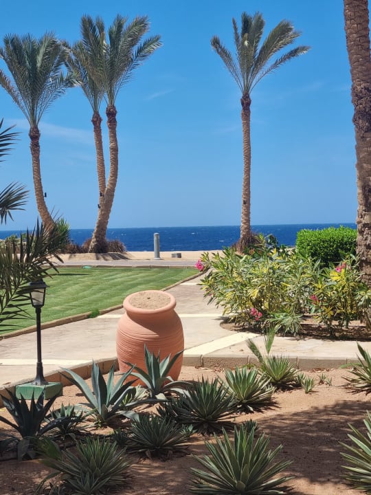 Gartenanlage Steigenberger Coraya Beach - Adults only