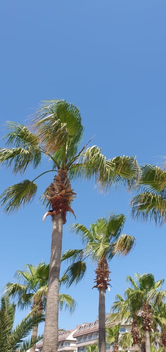 Gartenanlage Aydinbey Kings Palace & Spa