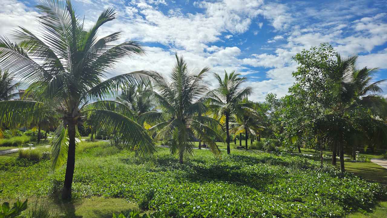 Gartenanlage ROBINSON NAM HOI AN